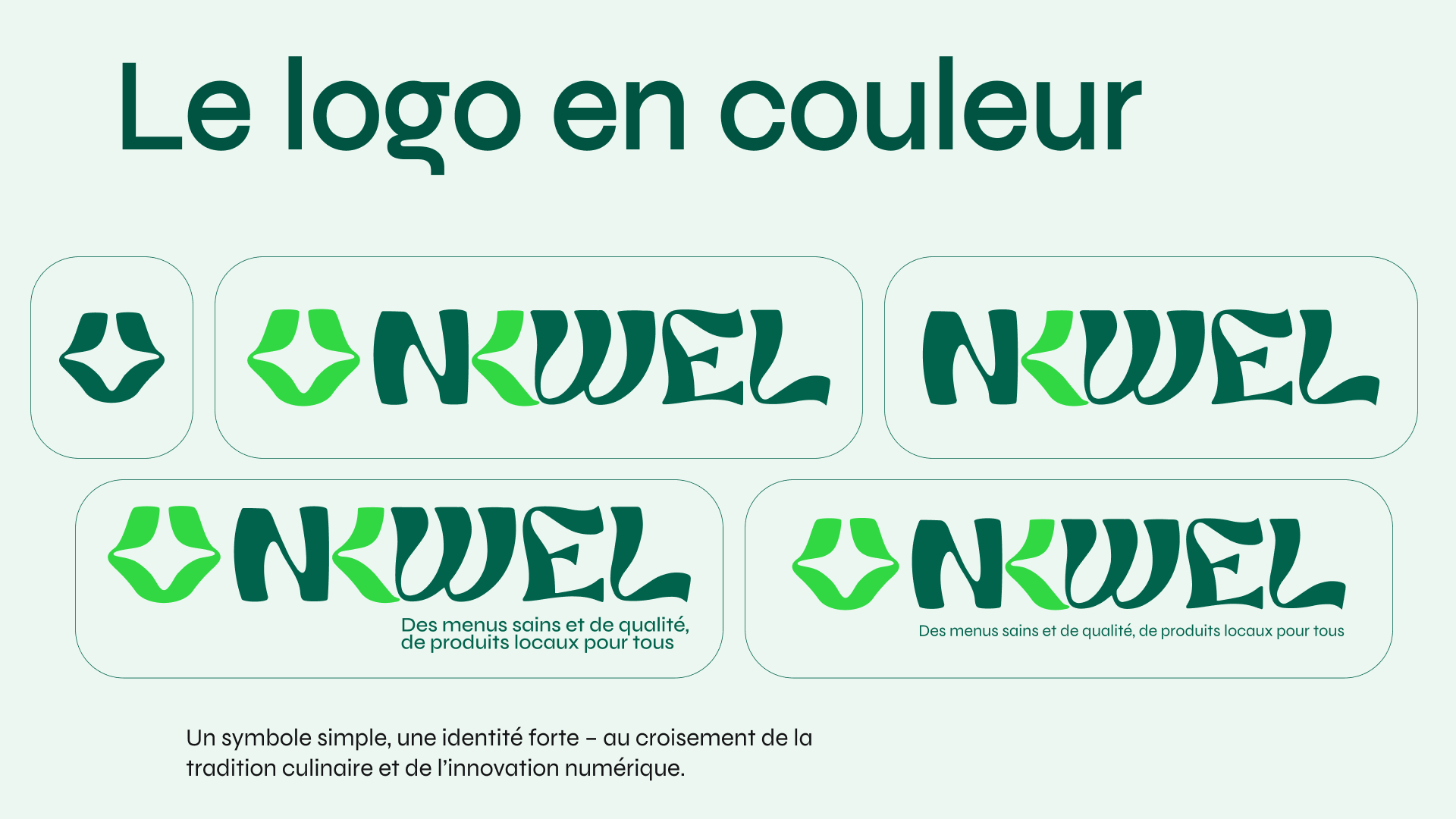 Grille du logo et ses différentes variantes
